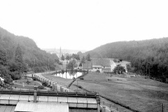 Tato fotografie - realizovaná zřejmě z tovární budovy a přes její zahradu a skleník- nám dokumentuje jednak náhon jdoucí z potoka šikmo do rybníka, a také vodu, přitékající z tovární přádelny. Na horním konci rybníka pak vidíme strouhu, která odváděla nadbytečnou vodu zpět do potoka. Situace je zřejmá i na mých přiložených plánech.V pozadí se tyčí komíny staré litvínovské horní Šikovky.