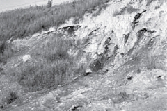 Část svahového sesuvu lomu S. K. Neumann (foto z r. 1955)