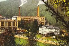 Rickenova vila na historické pohlednici po roce 1905.